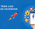 Page thường live ads