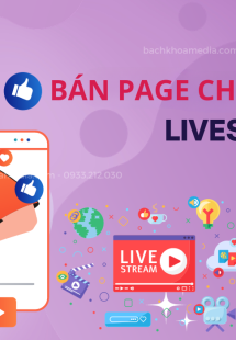 BÁN PAGE CHẠY QUẢNG CÁO LIVESTREAM 